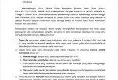Antisipasi Super Flu H3N2, Pemkot Surabaya Terbitkan SE Kewaspadaan Dini