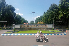 Skandal Predator Seksual Guncang Unej, Oknum Mahasiswa Hukum Diduga Lecehkan Belasan Korban