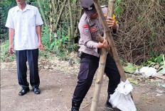 Polisi Magetan Bongkar Arena Diduga Lokasi Judi Sabung Ayam