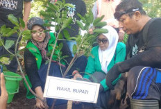 Pulihkan Ekosistem Pascabanjir, DPC PPP Situbondo Tanam Ribuan Pohon di Tambak Ukir