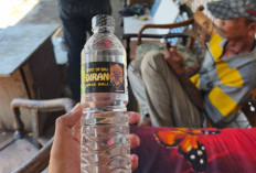 Bisnis Arak di Balik Bekupon Burung Dara, Dipasok Langsung dari Bali Lewat Truk Ekspedisi