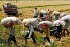 Bernarkah Nilai Dolar Tak Berpengaruh bagi Desa? Ini Sebenarnya