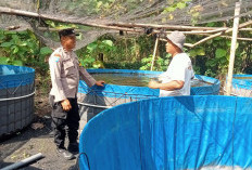 Bhabinkamtibmas Ngawi Kota Dukung Budidaya Lele dan Nila Warga, Perkuat Ketahanan Pangan Mandiri