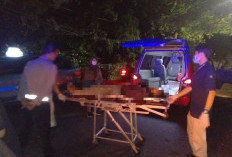 Ngantuk, Pengendara Motor Tewas Tabrak Pembatas Jalan di Kebomas Gresik