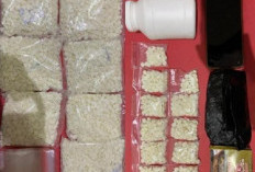 Polres Nganjuk Sita 7.650 Pil Dobel L di Baron, Satu Pengedar Diamankan