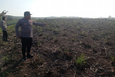 Bakar Daun Tebu Kering, Nenek di Blitar Tewas Terjebak Kobaran Api