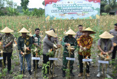 Dukung Swasembada Pangan 2026, Polres Gresik Panen Jagung Serentak Bersama Mabes Polri