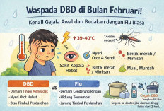 Waspada DBD Februari, Kenali Gejala Awal dan Bedanya dengan Flu