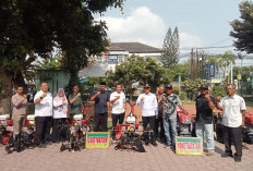 Plt Bupati Tulungagung Serahkan Alsintan untuk Kelompok Tani