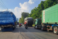 TPS Dukung Zero ODOL, Perketat Pengawasan Muatan hingga Tolak Peti Kemas Overload