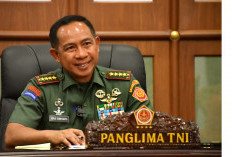 Panglima TNI Tegaskan Penanganan OPM di Papua Harus Kolaboratif