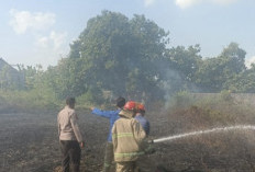 Lahan Kosong di Sukorejo Terbakar, Polres Lamongan dan Damkar Padamkan Api 14 Menit
