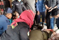 Dramatis! Damkar Gresik Berjibaku Evakuasi Wanita Obesitas 400 Kilogram yang Pingsan