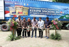 UMKM Bojonegoro Tembus Pasar Global, PT Pareto Estu Guna Ekspor Perdana Keripik Singkong Matoh ke Arab Saudi