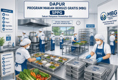 BGN Evaluasi MBG, Nasib 402 Dapur di Jatim Masih Tunggu Kepastian