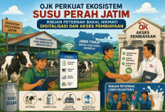 OJK Perkuat Ekosistem Susu Perah Jatim, Ribuan Peternak Bakal Nikmati Digitalisasi dan Akses Pembiayaan