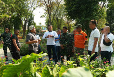 Bukan Sekadar Taman, JAPFA Sulap Taman Pintar Juanda Jadi Laboratorium Pertanian Regeneratif