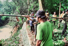 Cegah Banjir dan Bencana Lain, Pemdes Sukorejo Padat Karya Bersihkan Saluran Irigasi