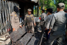 Polsek Gubeng Tangkap Pencuri Kursi Pemkot Surabaya, Begini Modusnya