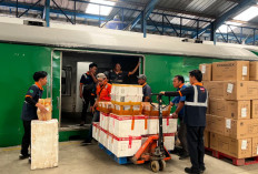 Makin Diminati Pelaku Usaha, Angkutan Barang KAI Daop 8 Naik 7,13 Persen