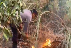 Polsek Buduran Gerak Cepat Padamkan Kebakaran Lahan di Prasung Sidoarjo