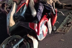 Hantam Honda Beat hingga Tewas di Wirolegi Jember, Sopir Pikap Kabur Tanpa Empati