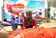 Aksi Kemanusiaan UBP Grati, Donor Darah Libatkan Pegawai hingga Mahasiswa Magang