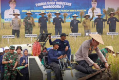 Dukung Swasembada Pangan, Kapolres Bojonegoro dan Forkopimda Panen Raya Padi Varietas Gamagora 7