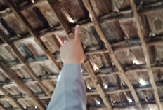 Terima Laporan Peluru Nyasar di Alastlogo, Anggota DPRD Jatim Minta Solusi Permanen