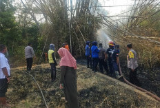 Polisi Ngawi Bersama Damkar Padamkan Kebakaran Rumpun Bambu di Paron, Diduga Akibat Pembakaran Sampah