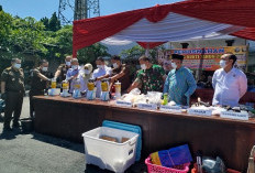 Jember Darurat Narkoba! Ribuan Pil Koplo dan Sabu Dimusnahkan, Kajari: Ini Musuh Bersama!