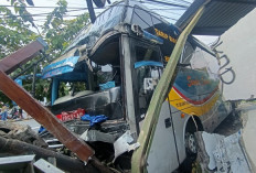 Sopir Truk Boks Tewas Terjepit Usai Hantam Bus Mogok di Jalan Madiun-Surabaya