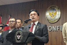 Lapas Penuh, Yusril Siapkan Pulau Berpenghuni Buaya untuk Rehabilitasi Napi Narkoba