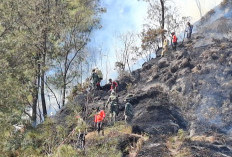 Kebakaran Hutan dan Lahan  TNBTS Pasuruan Sulit Dipadamkan, Api Merembet ke Bukit Cinta