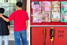Bobol SDN Kompleks Kenjeran II Surabaya, Pelaku Ditangkap Saat Bersembunyi di Atas Pohon
