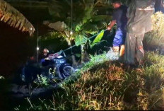  Jalan Berlubang Bikin Pemotor Terperosok ke Sawah, DPUTR Gresik Siapkan Perbaikan