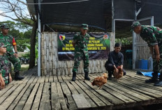 Pembinaan Ketahanan Pangan, Kodim 0812/Lamongan Perkuat Sinergi TNI dan Masyarakat