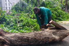 Antisipasi Cuaca Ekstrem, DLH Surabaya Siaga Tujuh Rayon 