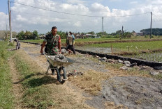 Perkuat Infrastruktur Pertanian, Babinsa Grati Bersama Petani Bangun Drainase 200 Meter