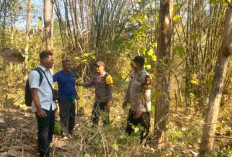 Polisi Sisir Hutan Gunung Budeg, Cegah Karhutla dan Ilegal Logging