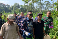 Wali Kota Malang Support Petani Cabai, Tinjau Panen Raya hingga Beri Bantuan Saprodi