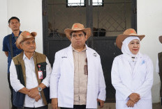 Kepala Bakorwil Malang: Inovasi BBIB Singosari Jadi Kunci Percepatan Swasembada Daging Nasional