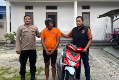Gondol Motor Tetangga, Pria Duduksampeyan Gresik Dibekuk Polisi