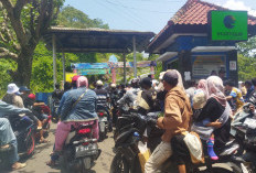 Papuma Chaos, Kunjungan Tembus 8.800 Orang, Ambulans Hilir Mudik Evakuasi Korban Jatuh dan Pingsan