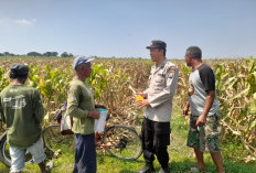 Kapolsek Prambon Masifkan Bhabinkamtibmas Sambang Petani, Dongkrak Swasembada Pangan
