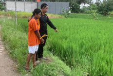 Polisi Tangkap Pembegal Driver Ojol di Menganti Gresik