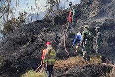 Pemprov Jatim Bakal Rehabilitasi Lahan Bromo Seluas 1.121 Hektare