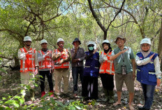 Lestarikan Mangrove, Terminal Petikemas Surabaya Perkuat Keberlanjutan Pesisir di Tanjung Perak