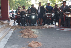 Massa Seniman Surabaya Hujani Gedung Dewan dengan Kotoran Ayam