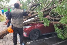 Puting Beliung Terjang Terminal 1 Juanda Sidoarjo, BPBD Jatim Bergerak Cepat Pulihkan Akses